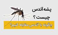 چگونه با آئدس مقابله کنیم؟